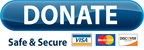 Paypal button